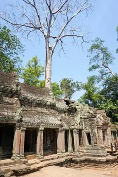 Ta Phrom temple with trees growing from the rocks (which inspired Tombraide.. Stock Photos