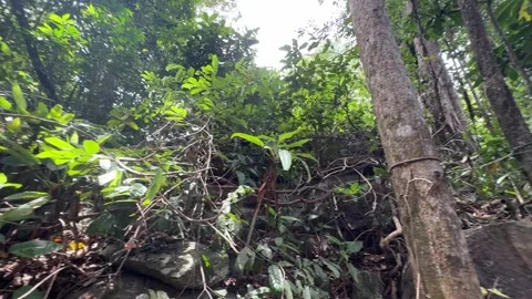 Ta Prasith Stone Carving at Koh Rong Samloem in Sihanoukville Cambodia Stock Footage 337090481