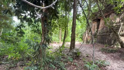 Ta Prasith Stone Carving at Koh Rong Samloem in Sihanoukville Cambodia Stock Footage 337090592