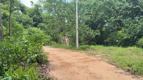 Ta Prasith Stone Carving at Koh Rong Samloem in Sihanoukville Cambodia Stock Footage 337090665