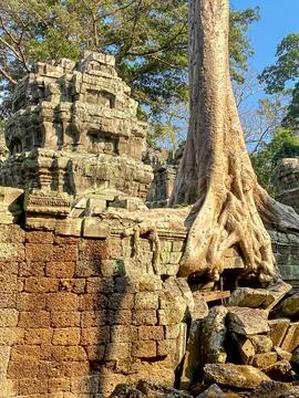Ta Prohm, a mysterious temple of the Khmer civilization, located on the terri Stock Photos