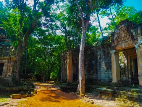 Ta prohm Stock Photos
