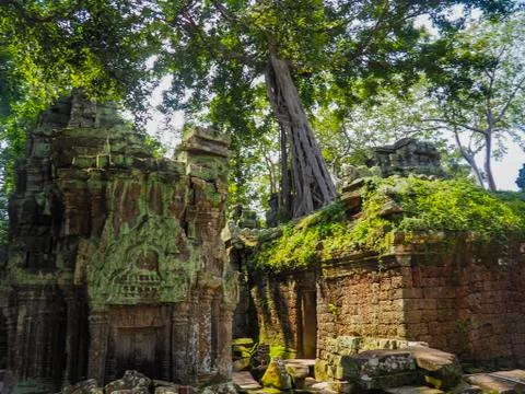 Ta prohm Stock Photos