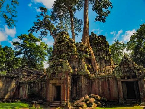 Ta prohm Stock Photos