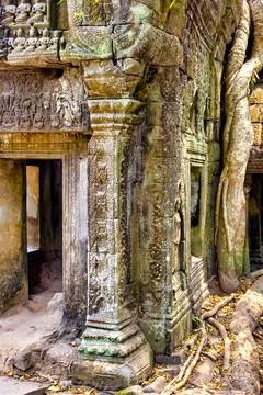 Ta Prohm Stock Photos