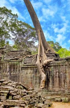Ta Prohm Stock Photos