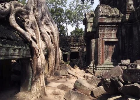 Ta Prohm Tempel Stock Photos