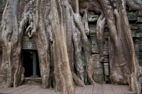 Ta Prohm temple building inside Angkor Wat heritage site Stock-Fotos