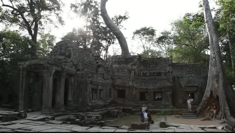 Ta Prohm Temple Video stock 10727339