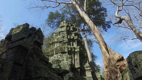 Ta Prohm Temple Interior Structure Stock Footage 73241604