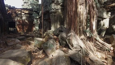 Ta Prohm Temple Interior Structure And Trees Stock Footage 73241655