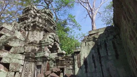 Ta Prohm Temple Interior Structure And Trees Stock Footage 73241757