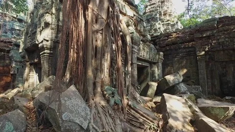 Ta Prohm Temple Interior Structure And Trees Stock Footage 73242687