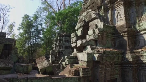 Ta Prohm Temple Interior Structure Stock Footage 73243013