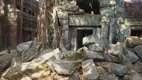 Ta Prohm Temple Interior Temple Detail Stock Footage 73242762