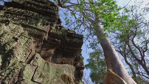 Ta Prohm Temple Interior Temple Detail Stock Footage 73243088