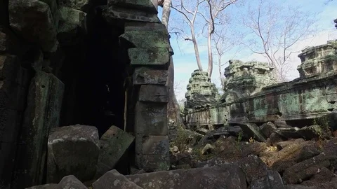 Ta Prohm Temple Interior Wall Stock Footage 73241552