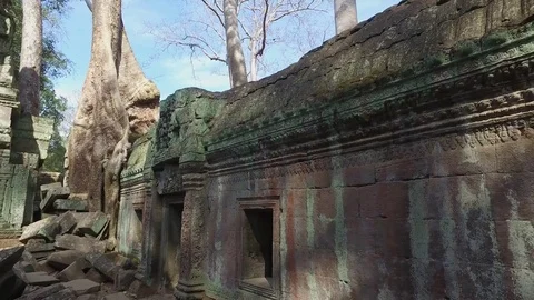 Ta Prohm Temple Interior Wall Stock Footage 73241594