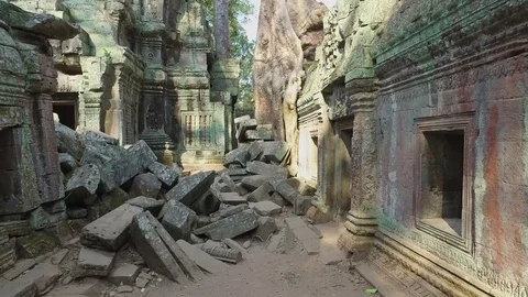 Ta Prohm Temple Interior Wall Stock Footage 73242593
