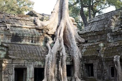 Ta Prohm temple Stock Photos