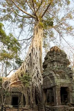 Ta Prohm temple Stock Photos