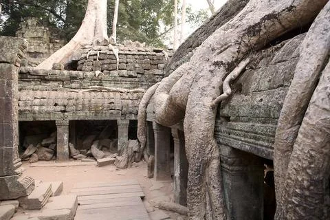 Ta Prohm temple Stock Photos