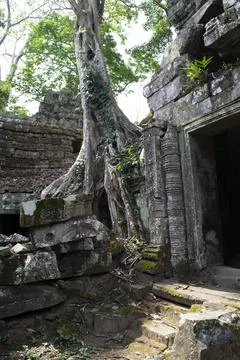 Ta prohm temple ruins with tree roots growing over ancient stones Stock Photos