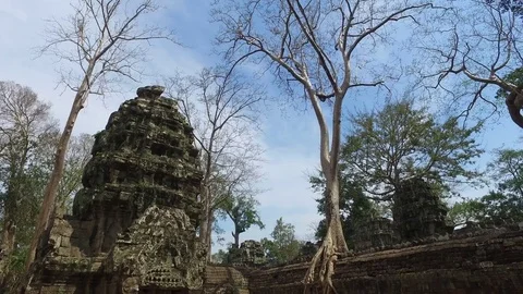 Ta Prohm Temple Structure And Tree Roots Stock Footage 73241941