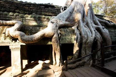 Ta Prohm Temple, Temples of Angkor, Cambodia Stock Photos