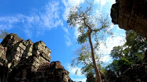 Ta Prohm Temple Tree and Sun Tomb Raider Stock Footage 106810548