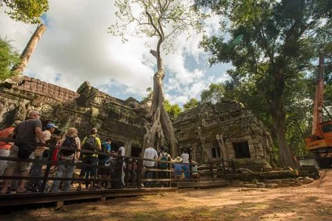 Ta Prohm Temple tree at Angkor Wat Temple in Cambodia as tourist wait in line Stock-Fotos
