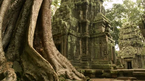 Ta prohm temple Unesco world heritage site dolly Stock Footage 64510075