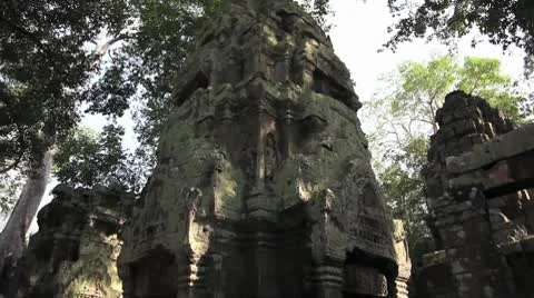 Ta Prohm_LDA N 00656 Stock Footage 10560159