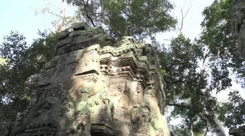Ta Prohm_LDA N 00658 Stock Footage 10560167