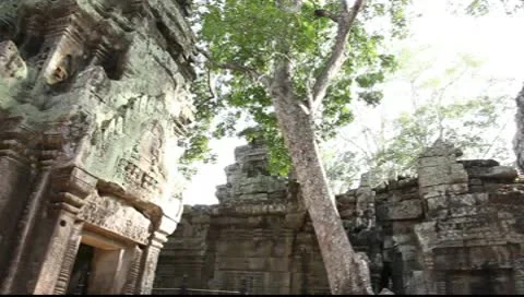 Ta Prohm_LDA N 00663 Stock Footage 10560195