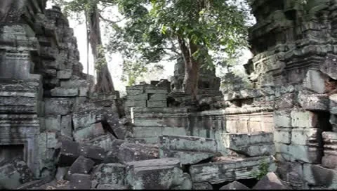 Ta Prohm_LDA N 00666 Video stock 10560208