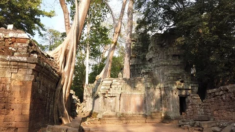 Ta Prom temple is one of the most famous temples of Angkor Stock Footage 106707231