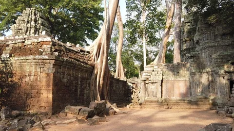 Ta Prom temple is one of the most famous temples of Angkor Stock Footage 106707617