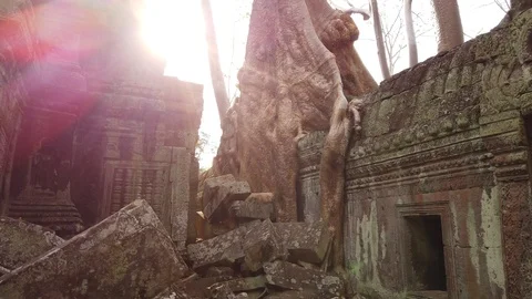 Ta Prom temple is one of the most famous temples of Angkor Stock Footage 106711767