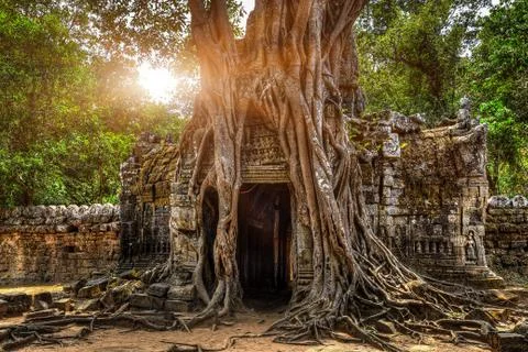 Ta Som entry Stock Photos