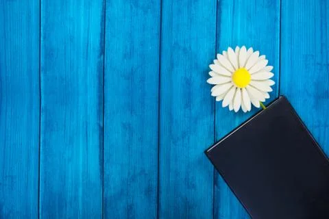 Tab in the diary in the form of a flower on a blue wooden background Stockfoto's