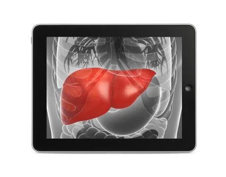 Tab with liver Stock Illustration