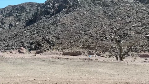 Taba Mountains Trails  Stock Footage 313145312