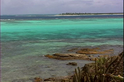 Tabago Vista Видео 820633