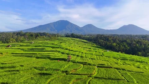 Tabanan close pan Video stock 274609304