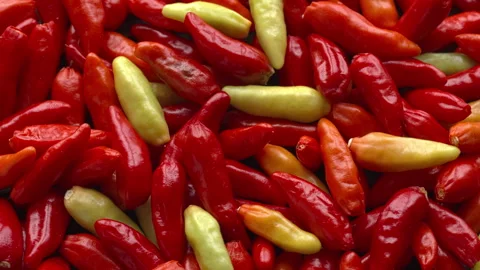 Tabasco chilies background texture. Stock Footage 308254344