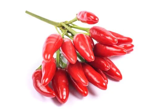 Tabasco peppers Stock Photos