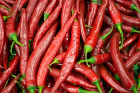 Tabasco Stock Photos