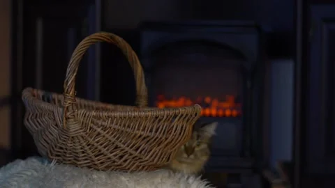 Tabby cat flips a basket on a background of a burning fireplace Видео 131512035