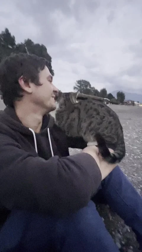 Tabby cat rubbing its face against a man outdoors. Affectionate pet behavior and Stock Footage 336389267